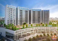 ��»�ȷ������̻��ȿ���!