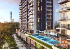 �ϰݾ�Ʒ�����̿�����Ͷ�ʺ���Ŀ ���ڹ�����У�͵���