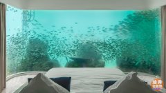 �ϰݷ�����Ư���ĺ�������