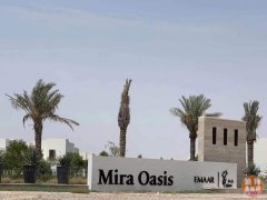 �ϰݷ������ϰݺ÷�Դÿ��һ�ƣ��ϰݱ���Ⱥ��Mira Oasi