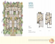 �ϰݷ������ϰݺ÷�Դÿ��һ�ƣ��ϰݱ���Ⱥ��Mira Oasi