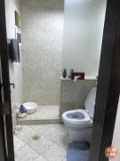 AL QUZO ���ݳ���