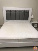 AL QUZO ���ݳ���