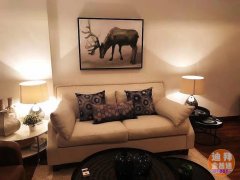 �ϰݷ���Ͷ�� ����**�ߵ�סլ¥ ����