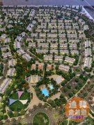 �ϰ�����������DP������Ŀ127��3������