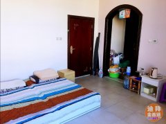 ���Ƕ��ڶ��������Al Warqaa 4����Ѱ�������ѣ�����