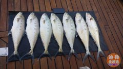 �����ͧ��רҵ�����ͧ����