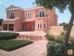 �ϰ�2019����Լ�©�ķ�Դ��Ͷ�ʻر�8%����