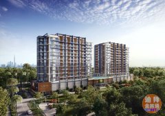 �ϰݷ�����Ĺ���-�����, ��ֱ��Ҫ̫�ó���