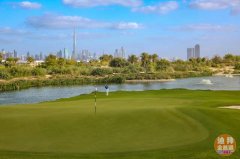 Emaar �ϰ�ɽׯ Dubai Hills ��Ƥ����