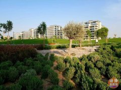 �ϰ�ɽׯ Dubai Hills�ַ�����