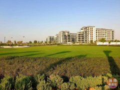 �ϰ�ɽׯ Dubai Hills�ַ�����