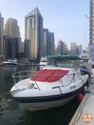 רҵ����㣬ɢƴ4Сʱ����238������+����+�ն���