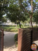 ��ϰ�������**���ı���Ⱥ�� ��������1200�����ķ��