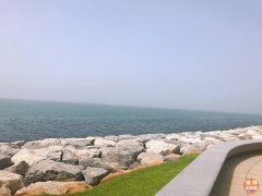 �ϰݺ����ַ����� 1200�����ķ��