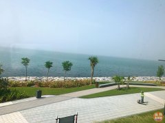 �ϰݺ����ַ����� 1200�����ķ��