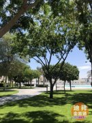 �ϰݷ��� �����Ļ��ϸ߶�סլ �ر��ʿɵ�10%