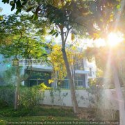 �ϰݷ������������гǣ���������