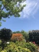 �ϰ�ˮ���� �߶�סլ���� �׸�ֻҪ11��