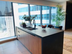 �ϰ�������**�����ù�Ԣ������� DT1