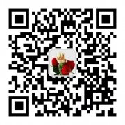 迪拜新大陆会计事务所开银行账户,财会税务法律服务 迪拜新大陆会计事务所开银行账户,财会税务法律服务