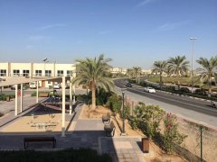 ���Ǳ��� ���ſ��� �������