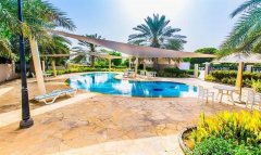 ����巿��������275�����