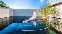 ƽ������������������