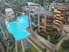 ����������Ԣ����