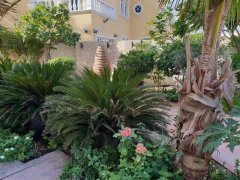 �ϰݹ���� �ؼ� �ַ����� ���ò�Ȩ û�й�̯���