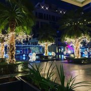 �ϰ�������׼�ַ� ��������**����3���� 100������