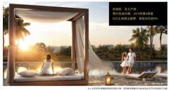 �ַ����� �����ռ�����뿪�� ����ϰݷ�����ͬ��Ԫ�ʲ�