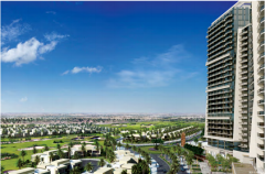 ���羭�÷�ת ���յϰݷ���Ͷ�ʻ��� ����͸��