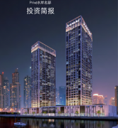 �ϰݹ�������Ͷ�ʾ�Ʒ��Ŀ ���շ���Ͷ�ʻ���