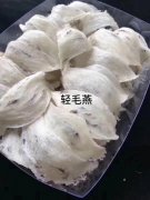 �ϰ�������������_�ϰ�����������