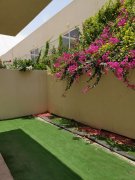 ���ʳǼ۸�**�ͱ�����