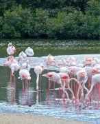 ��Ϫ�ۡ����ϰ�**��Ͷ��Ǳ��������֮һ