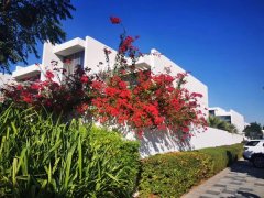 �ϰ�**�߶˵ı��� ��լ�� ���Կ������������������