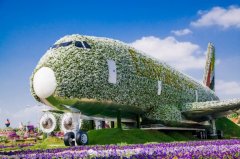 �����ɿ�����λ�ڵϰ��漣��԰��������Ŀ�д�������ӭ����