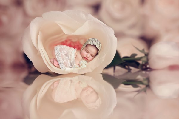 来自澳大利亚悉尼的华人新生儿摄影师,百日照,周岁照,孕妈照, 来自澳大利亚悉尼的华人新生儿摄影师,百日照,周岁照,孕妈照,