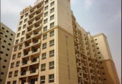 ���ʳ�CBD ��������һ�����ۣ���ס+Ͷ����ѡ