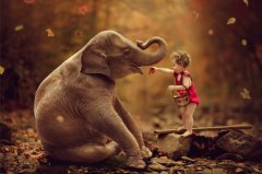 ���԰Ĵ�����Ϥ��Ļ�����������Ӱʦ�������գ������գ������գ�