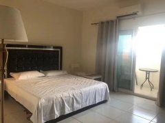 ���ϰ���֮ܰ�����ޡ�Ϊ�ڵϰ�deira�����㳡�����������˺�