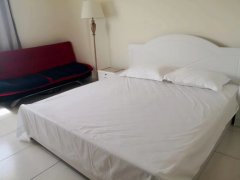 ���ϰ���֮ܰ�����ޡ�Ϊ�ڵϰ�deira�����㳡�����������˺�