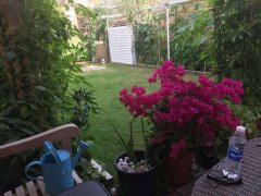 �ϰݷ��� ��ѧ���ܱ� �������õĶ�������