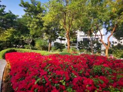 �ϰݷ���Ͷ�� ˮ������7���� ���к� ��լ����