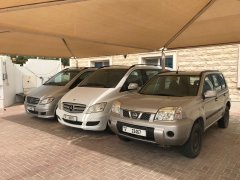 ��ɣ ����