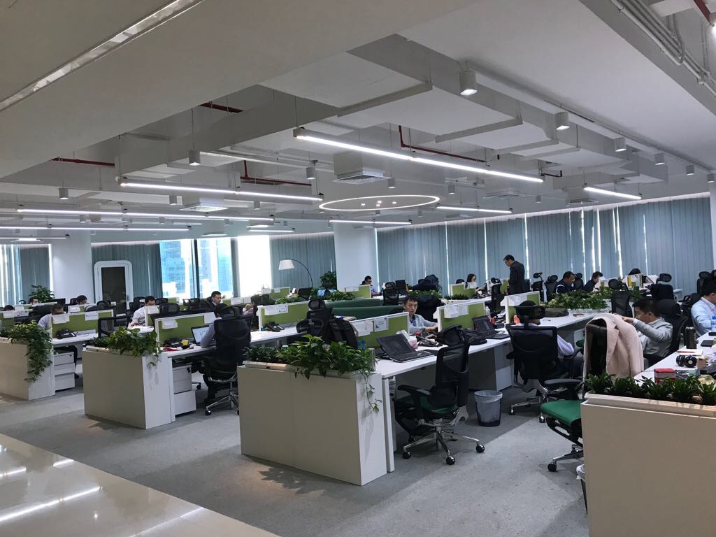 ����Ƹ����Ϊ�ж�������������Ӫ����