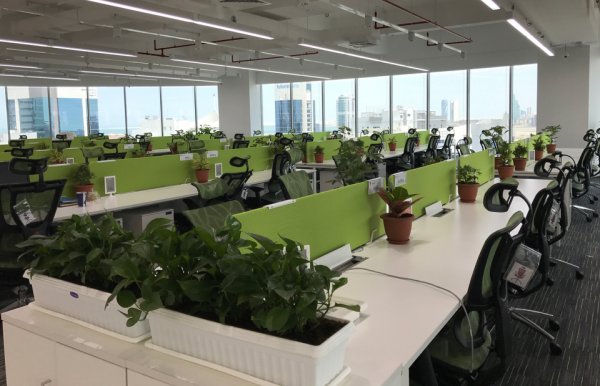 ����Ƹ����Ϊ�ж�������������Ӫ����