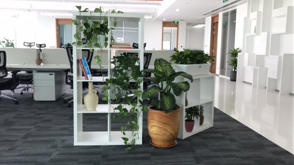 ����Ƹ����Ϊ�ж�������������Ӫ����